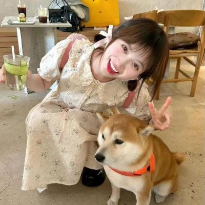 女导与强盗